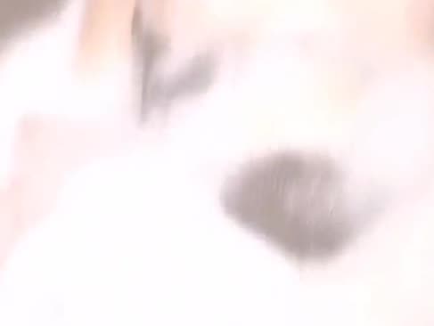  porno-l